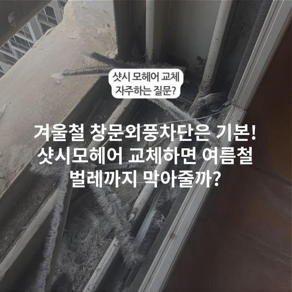 겨울철 창문외풍차단은 기본! 샷시모헤어 교체하면 여름철 벌레까지 막아줄까?