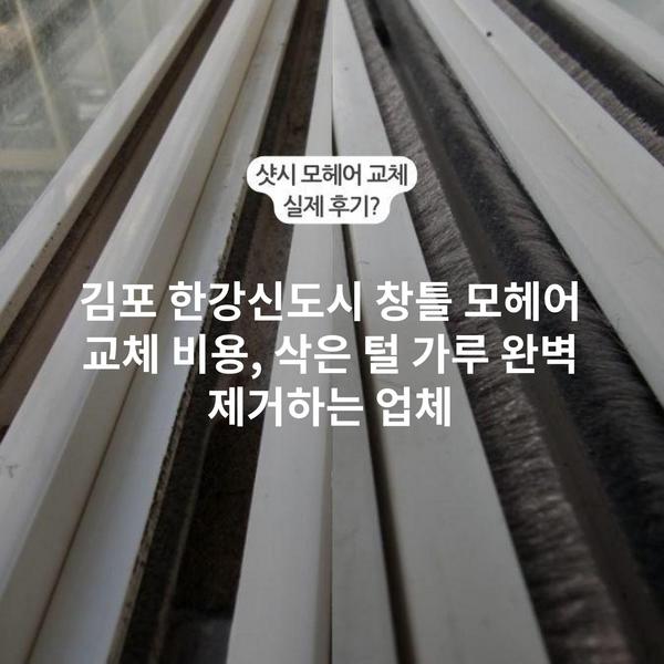 김포 한강신도시 창틀 모헤어 교체 비용, 삭은 털 가루 완벽 제거하는 업체