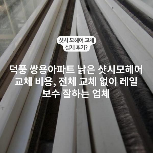 덕풍 쌍용아파트 낡은 샷시모헤어 교체 비용, 전체 교체 없이 레일 보수 잘하는 업체